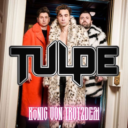 König von Trotzdem cover art