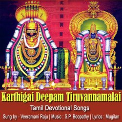 Karthigai Deepam Tiruvannamalai-Rl0eVDF1Bng