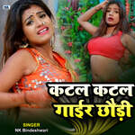 Katal Ktal Gayr Chhauri