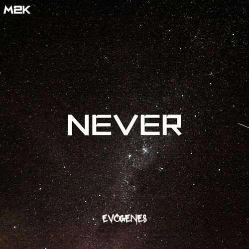 Never_poster_image