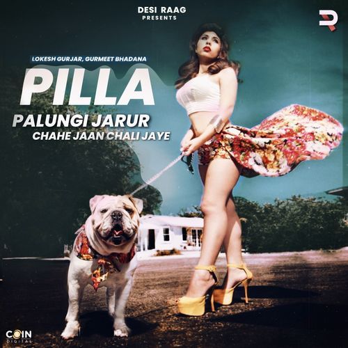 Pilla Palungi Jarur Chahe Jaan Chali Jaye cover art