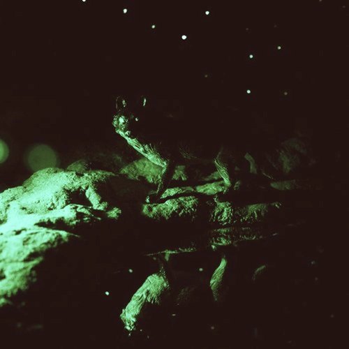 The Light (Aebeloe Remix) cover art