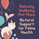 Sleep Soother with Nature Sounds artwork