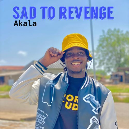 Sad to revenge_poster_image