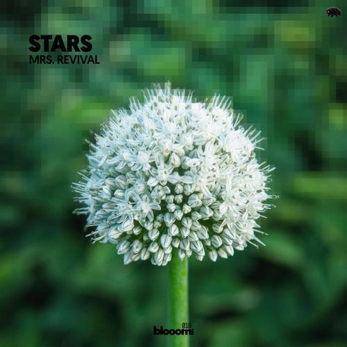 Stars