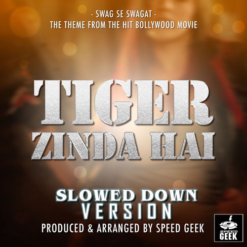 Swag Se Swagat (From "Tiger Zinda Hai") (Slowed Down Version)