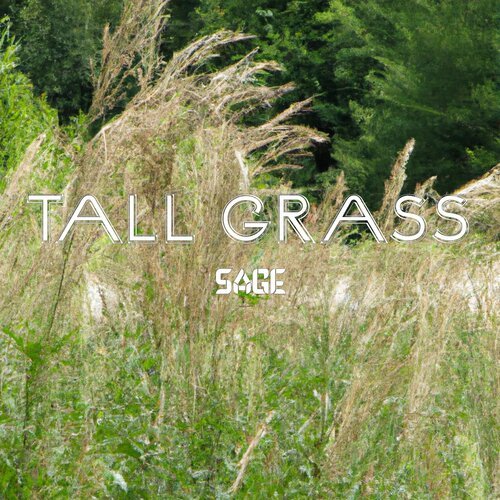 Tall Grass