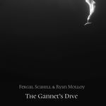 The Gannet's Dive