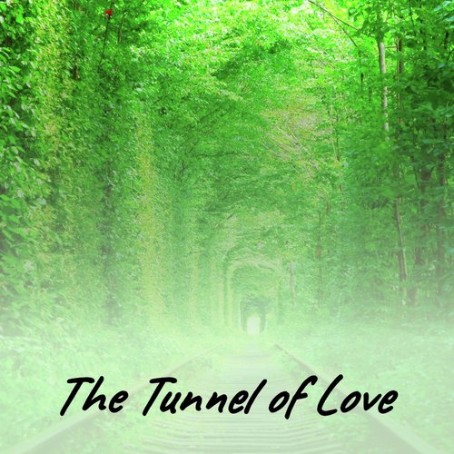 The Tunnel of Love