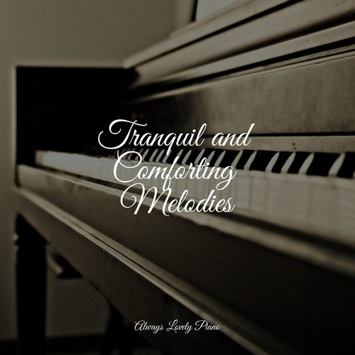 Tranquil and Comforting Melodies