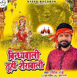 Vindhaywali Tuhi Sherawali - Single