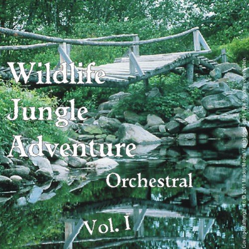 Wildlife / Jungle / Adventure; Orchestral - Vol. 1