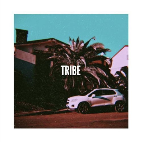  tribe_poster_image