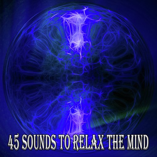 45 Sounds to Relax the Mind_poster_image