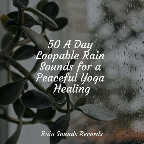 50 A Day Loopable Rain Sounds for a Peaceful Yoga Healing_poster_image