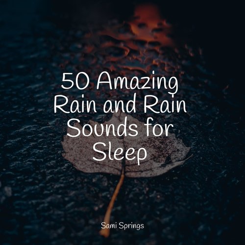 50 Calming Rain Tracks