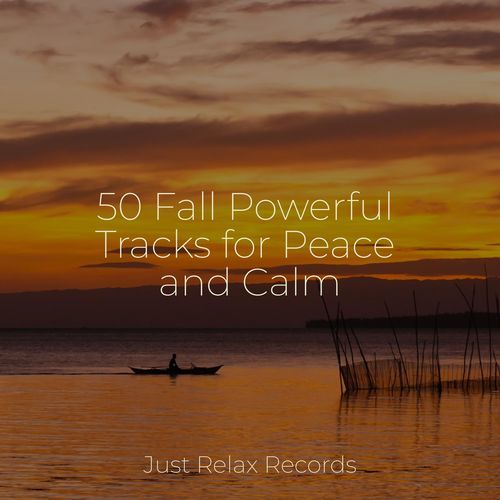 50 Fall Powerful Tracks for Peace and Calm