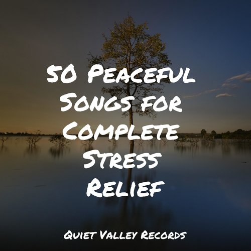 50 Peaceful Songs for Complete Stress Relief_poster_image