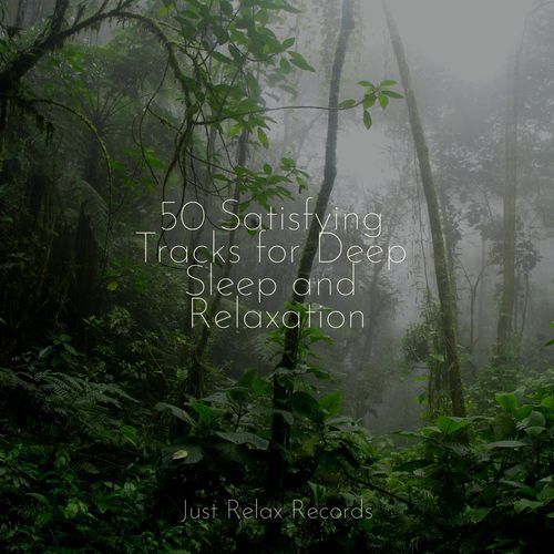 50 Satisfying Tracks for Deep Sleep and Relaxation_poster_image