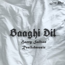 Baaghi Dil-Fg08SUdSUng