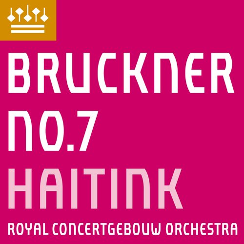 Bruckner: Symphony No. 7_poster_image