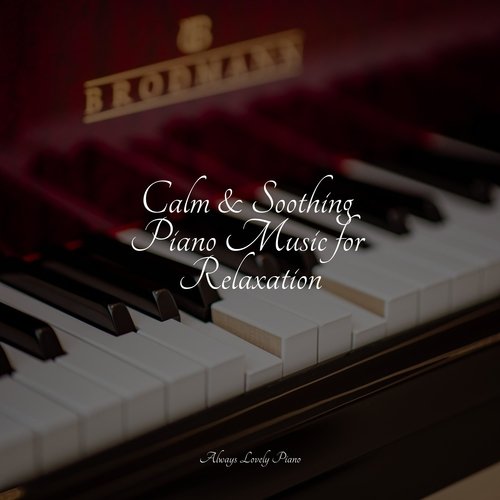 Calm & Soothing Piano Music for Relaxation