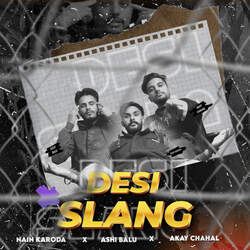 Desi Slang-AxsTdxxfc1Y