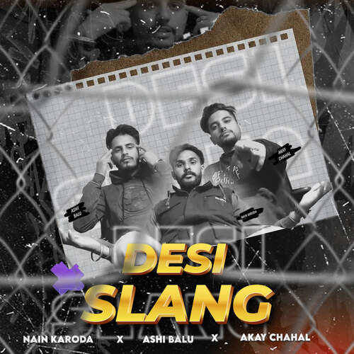 Desi Slang