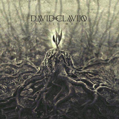 David Clavijo