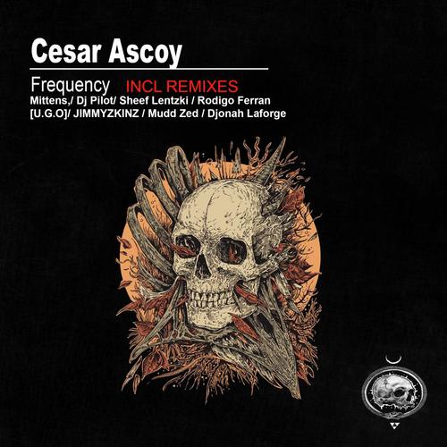Frequency (Mudd Zed Remix) cover art