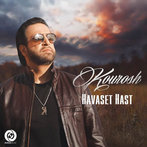 Havaset Hast
