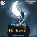 He Bholedani