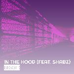 In the Hood