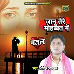 Janu Tere Mohbbat  Main