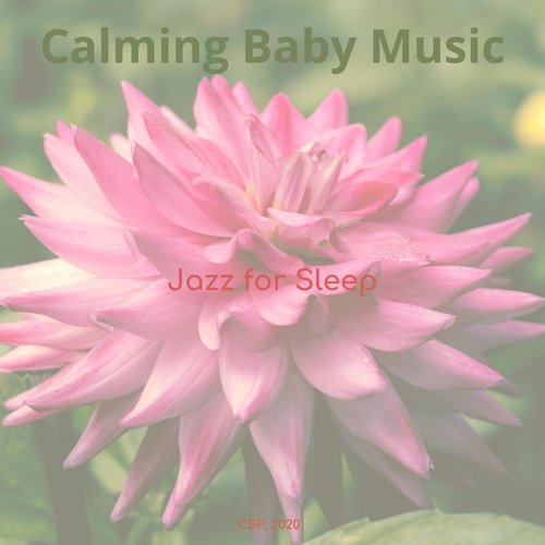 Jazz for Sleep_poster_image