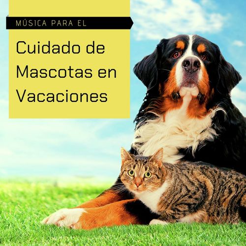 Música Nueva Era cover art