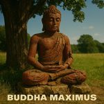 ॐ नमो नारायणाय