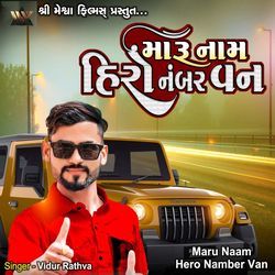 Maru Naam Hero Number One