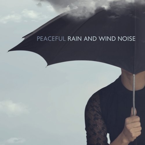 The North Wind cover art