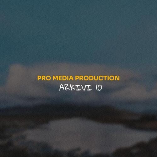 Produksioni Pro Media 