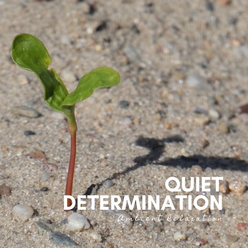 Quiet Determination_poster_image