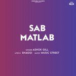 Sab Matlab