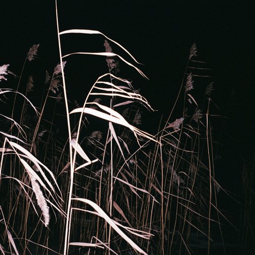 Kaluhanka cover art