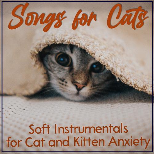 Kitten Sleep Music