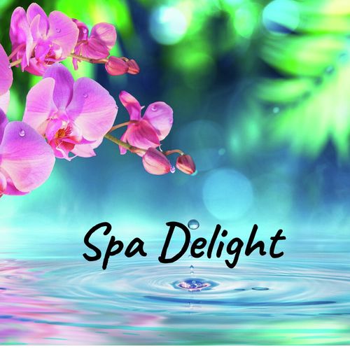 Spa Delight_poster_image