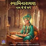 Swaminarayan Nam Je Je Jape