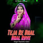 Teja Re Dhal Dhal Rove