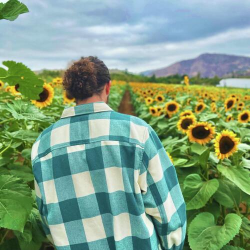 Plan Be cover art