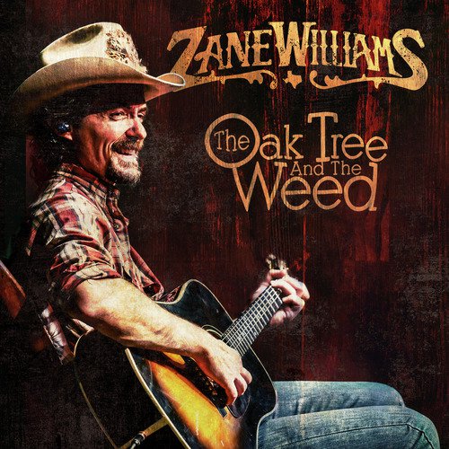 The Oak Tree and the Weed_poster_image