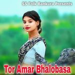 Tor Amar Bhalobasa
